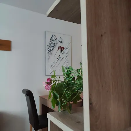 Top Lodge Bansko Apartment